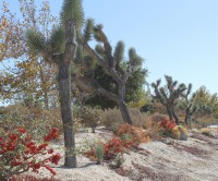 /album/oscar-cruz-photography/img-0013-jpg/