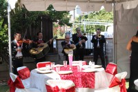 /album/oscar-cruz-photography/img-0019-jpg/